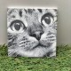 ENGRAVED PHOTOS ON TILE