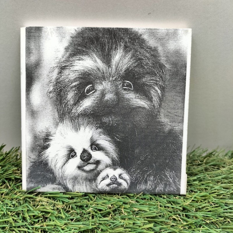 ENGRAVED PHOTOS ON TILE