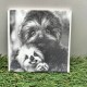 ENGRAVED PHOTOS ON TILE