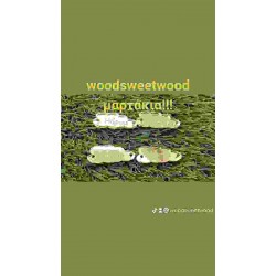 WOODEN CRAFT CLOUD PLEXY GLASS