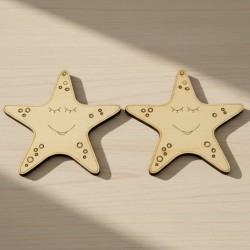 Wooden Sea star Wooden Sea star