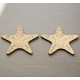 Sea star 2 by wood