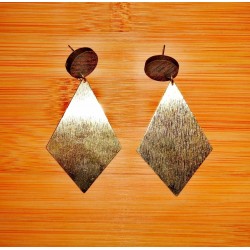 Earrings Earrings